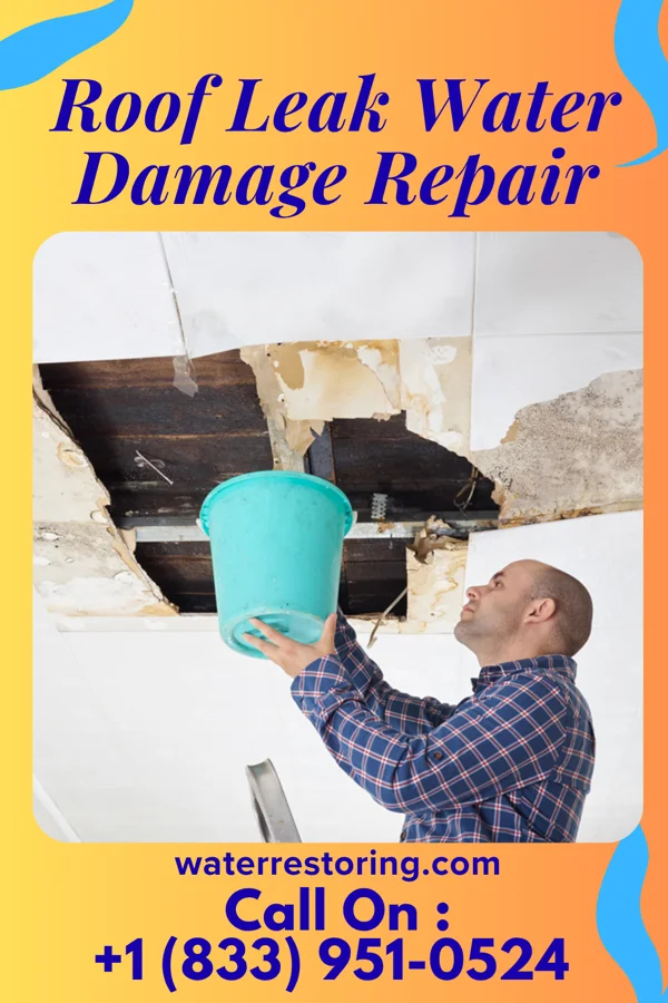 Roof Leak Water Damage Repair in Muscoda, WI